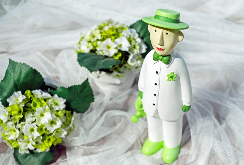 vitrine-LES MAYONS-min_man-person-flower-green-toy-fig-546529-pxhere.com